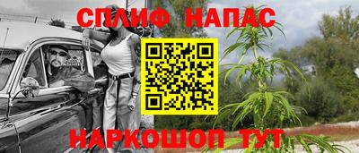 прущие грибы Бугуруслан