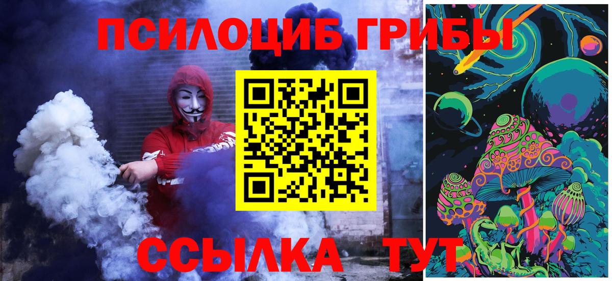 Псилоцибиновые грибы Cubensis  Вход с VPN  Кемерово 