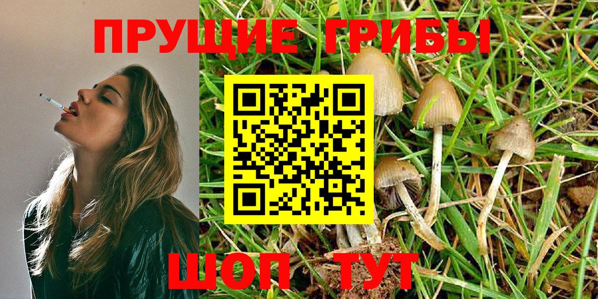 Псилоцибиновые грибы мухоморы Кемерово
